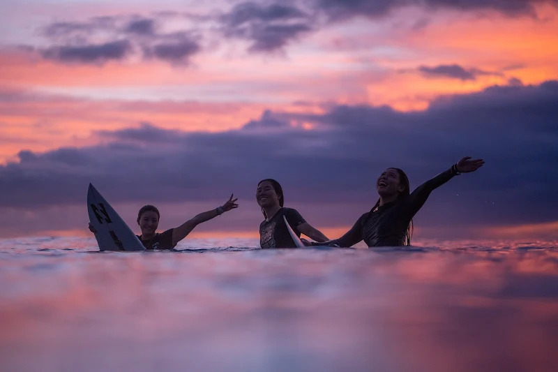 surfari